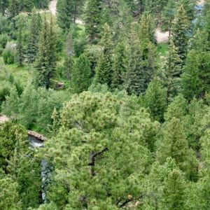 arial view of property