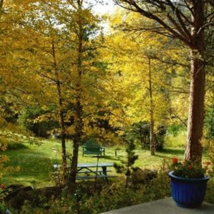 fall foliage at RiverSong