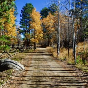 road to riversong in fall