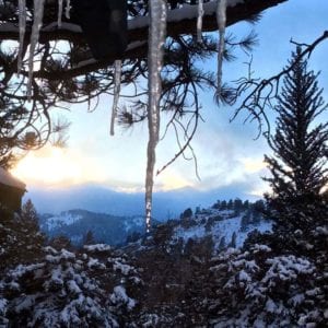 icecicles dripping from the trees