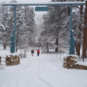 couple walks in winter wonderland