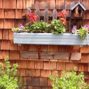 planter boxes with flowers at the Inn