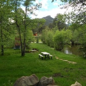 picnic table by the ponds