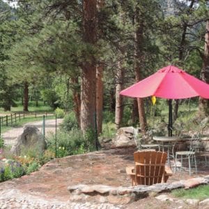 patio views in spring