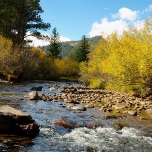 leaves changing color by the river