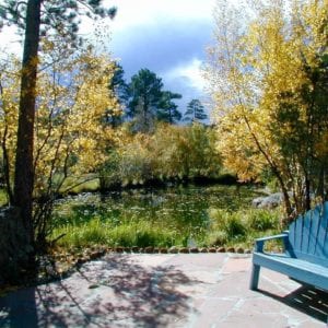 pond at RiverSong in fall