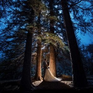 wedding couple in night forest canopy