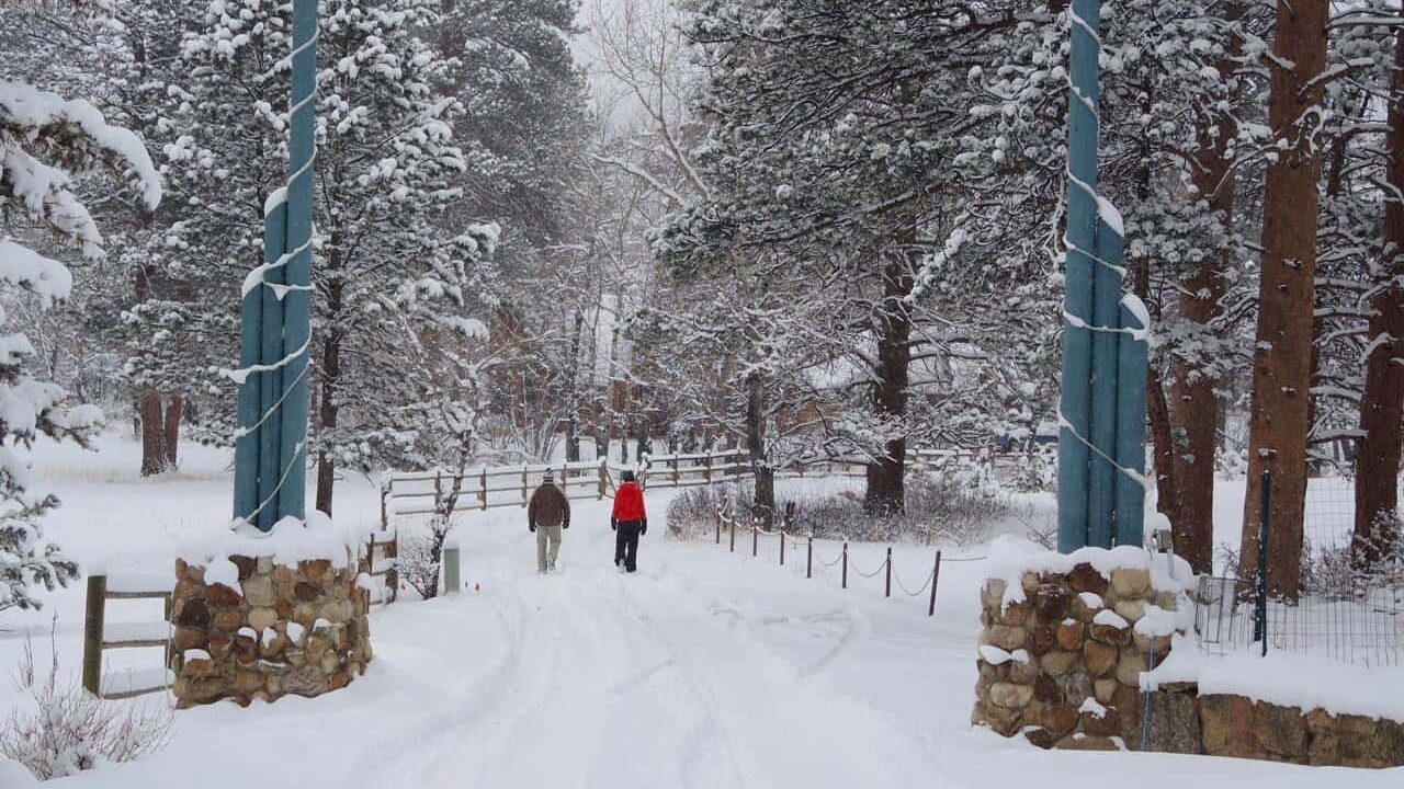 couple walks in winter wonderland