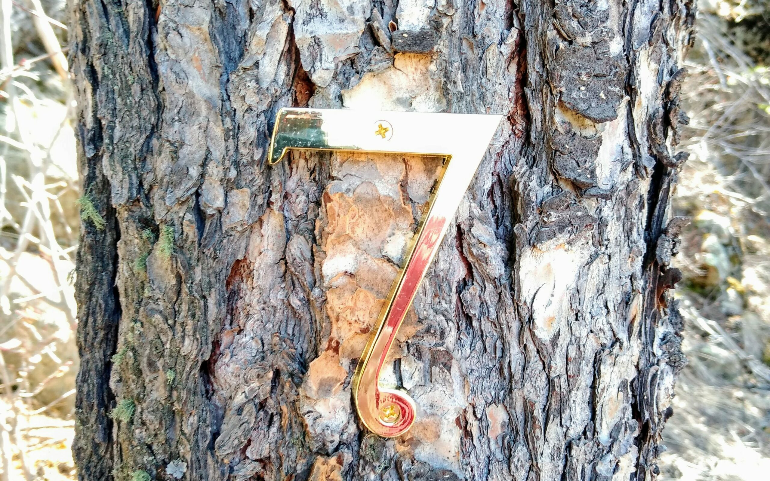 number 7 on tree marking 7 benches trail at romantic riversong inn. 