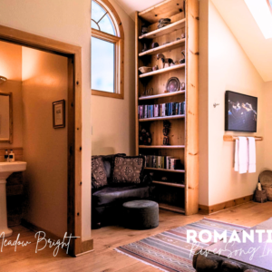 a room with a bookcase and a couch