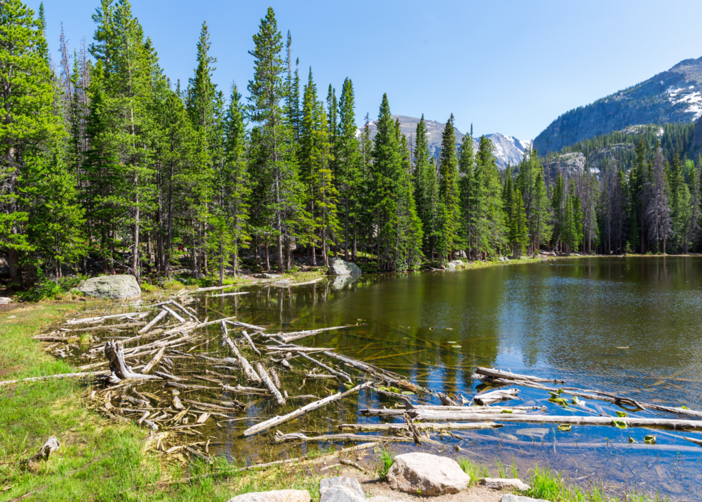 Sprague Lake, Best Beginner-Friendly Hikes in Estes Park near Riversong Inn Retreat