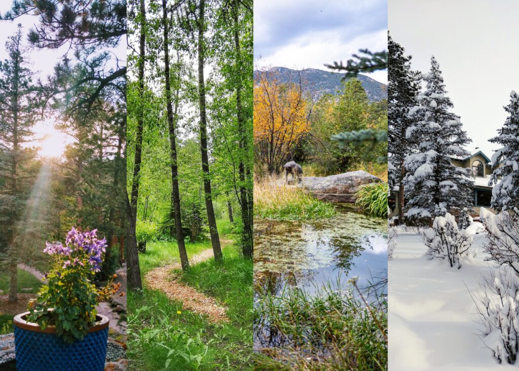 Seasons at Riversong, Estes Park Meadow
